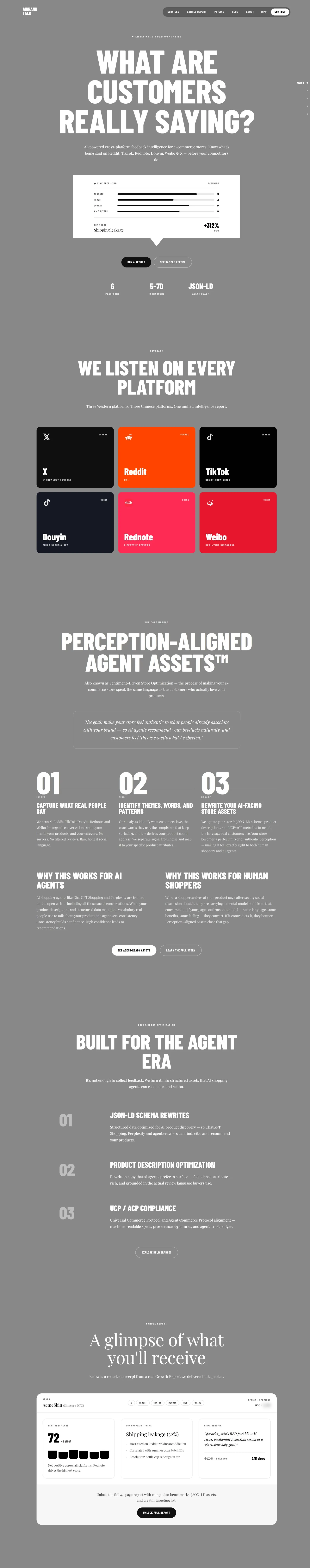 Screen capture of AIBrandTalk